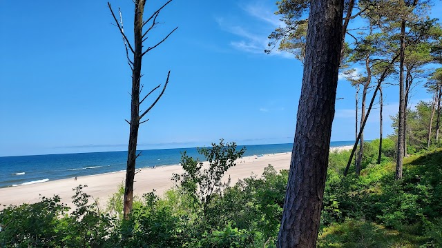 widok na plażę zza drzew
